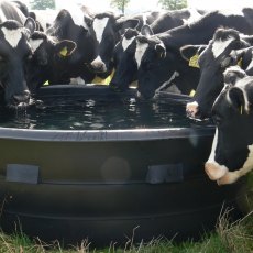 Paxton 2000 Litre Circular Drinking Trough with Ballcock