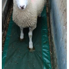 Foam Footbath for Sheep Foam Footbath for Sheep
