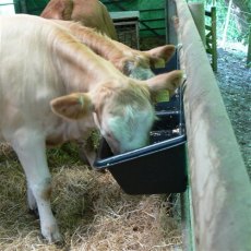 Paxton 73 Litre Hanging Feed Trough