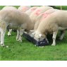 6ft Sheep Feed Trough